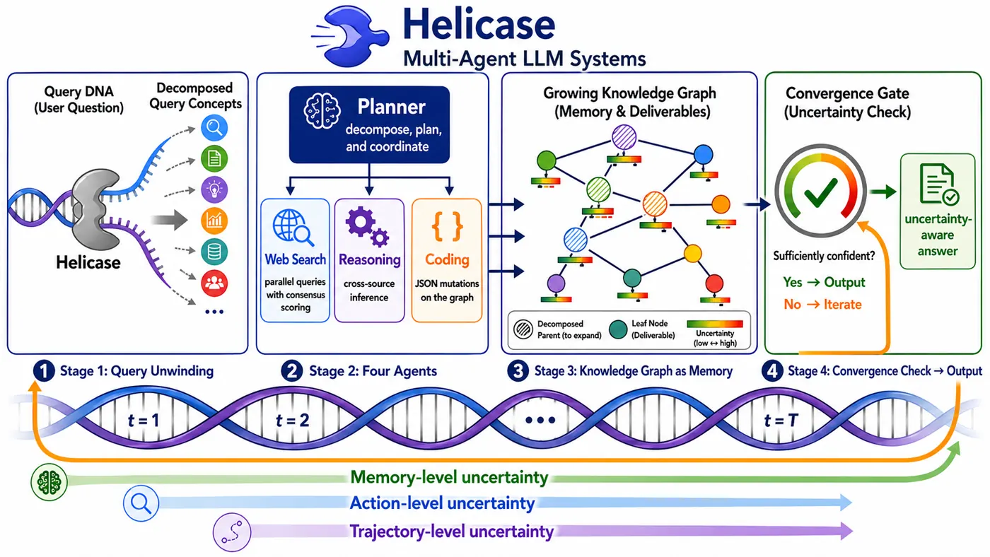 Helicase architecture